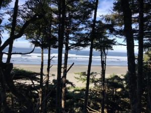 Ocean.Shores.Jim.Donahoe.Real.Estate