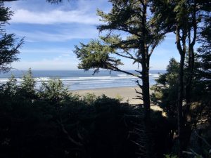 Ocean.Shores.Jim.Donahoe.Real.Estate