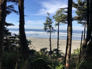 Ocean.Shores.Jim.Donahoe.Real.Estate