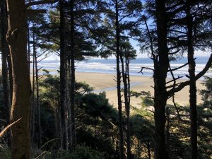 Ocean.Shores.Jim.Donahoe.Real.Estate