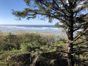 Ocean.Shores.Jim.Donahoe.Real.Estate