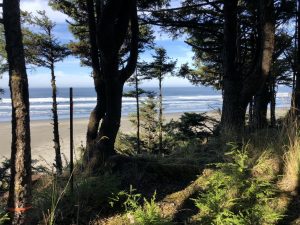 Ocean.Shores.Jim.Donahoe.Real.Estate