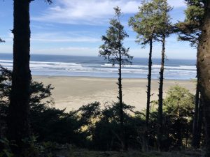 Ocean.Shores.Jim.Donahoe.Real.Estate