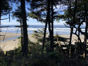 Ocean.Shores.Jim.Donahoe.Real.Estate