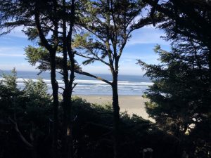 Ocean.Shores.Jim.Donahoe.Real.Estate