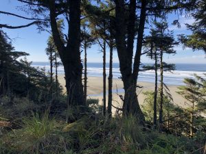 Ocean.Shores.Jim.Donahoe.Real.Estate